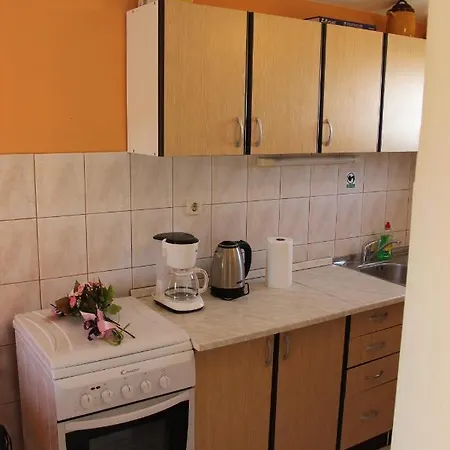 Apartment Slapare Slatine